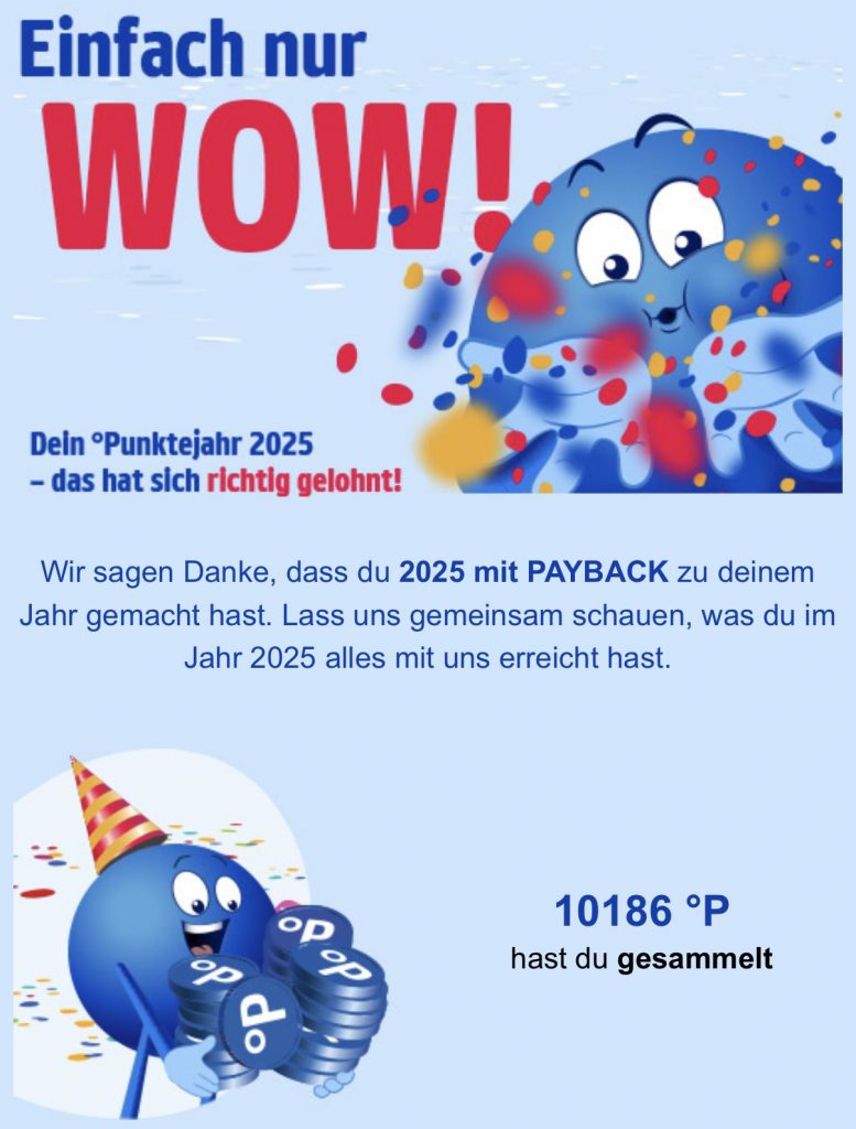 PayBack 2025 Jahresergebnis